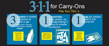 Transportation Security Adminstration (TSA): 311 for Carry-Ons/Air Travel graphic